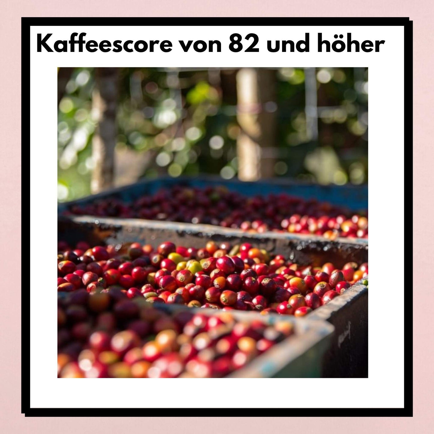 Decaf Power