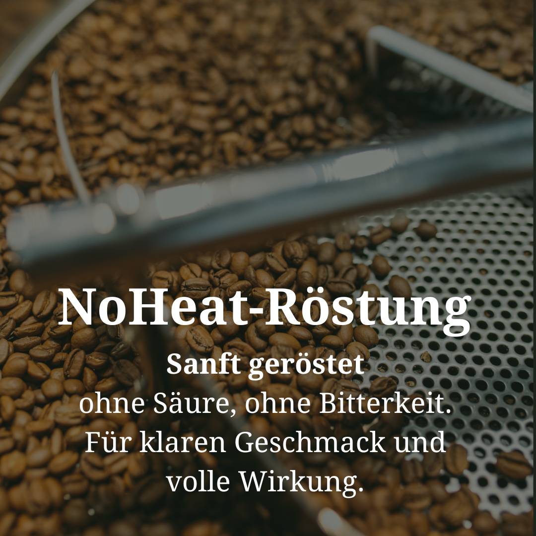 Filterkaffee aus 100% Arabica Bohnen