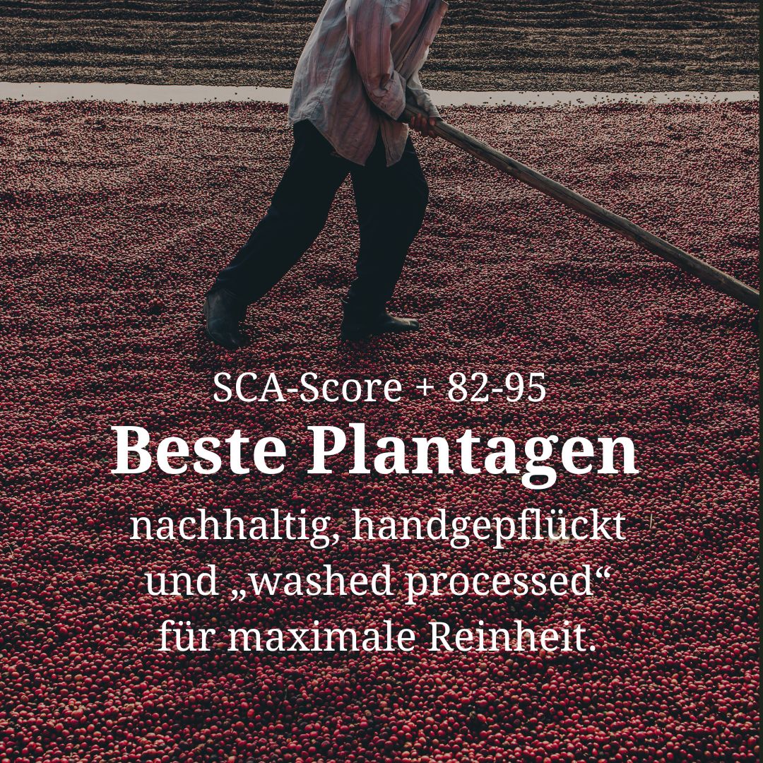 Wanja Coffee Probierpaket