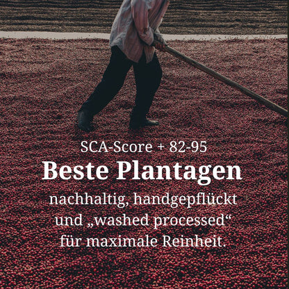 Wanja Coffee Probierpaket